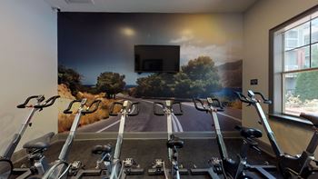 A room with a mural on the wall and a row of exercise bikes in front of it